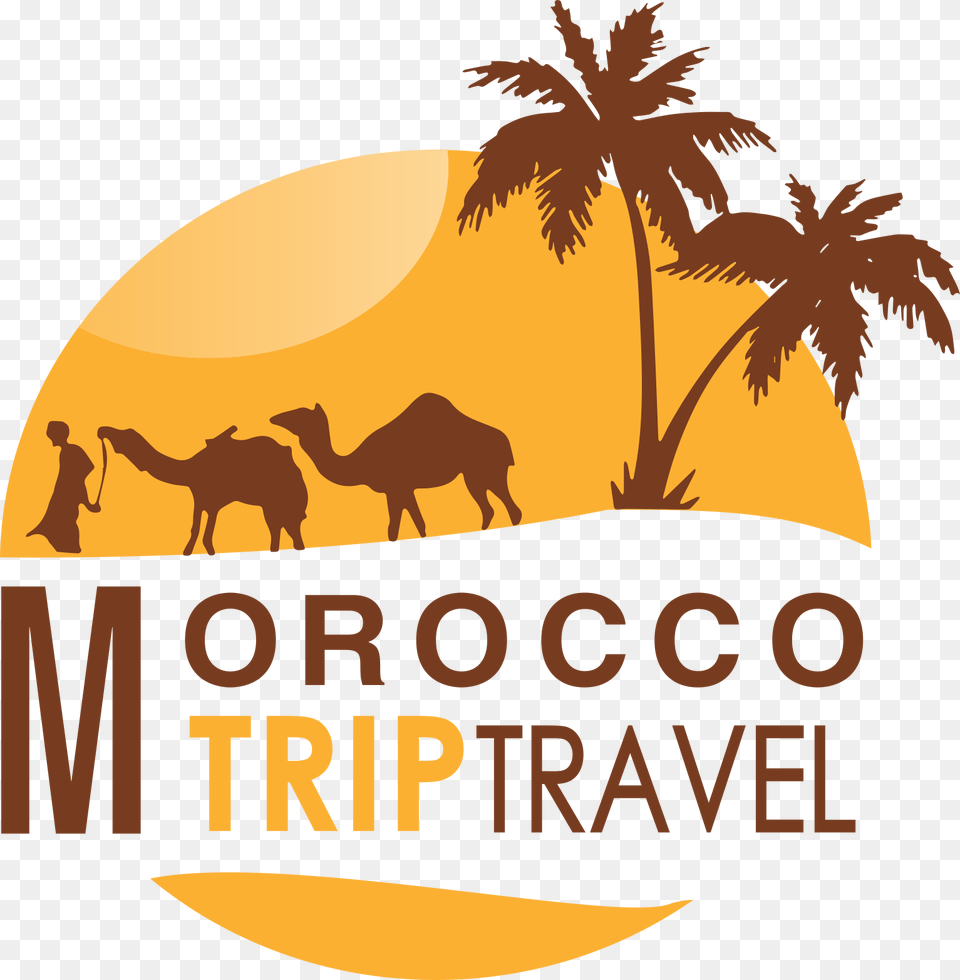 Morocco Trip Travel, Animal, Camel, Mammal, Person Free Png