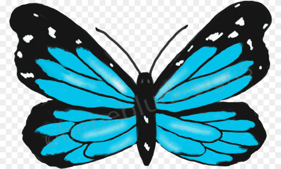 Morpho Blue Butterfly Limenitis, Animal, Insect, Invertebrate, Person Png