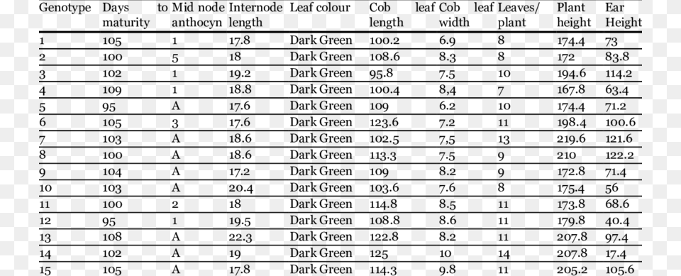 Morphological Traits Of Sweet Corn In Spring Season Staar Answer Key, Gray Free Png Download