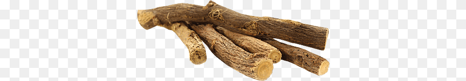 Morphology Of Liquorice Root, Wood, Animal, Reptile, Snake Png Image