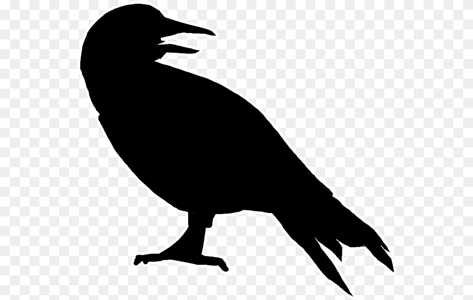 Morrigan Crow Canary Silhouette, Person, Animal, Bird Free Png Download