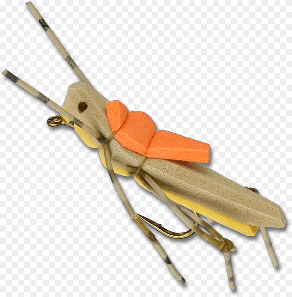 Morrish Hopper Gold Soldier Beetle, Animal Png Image