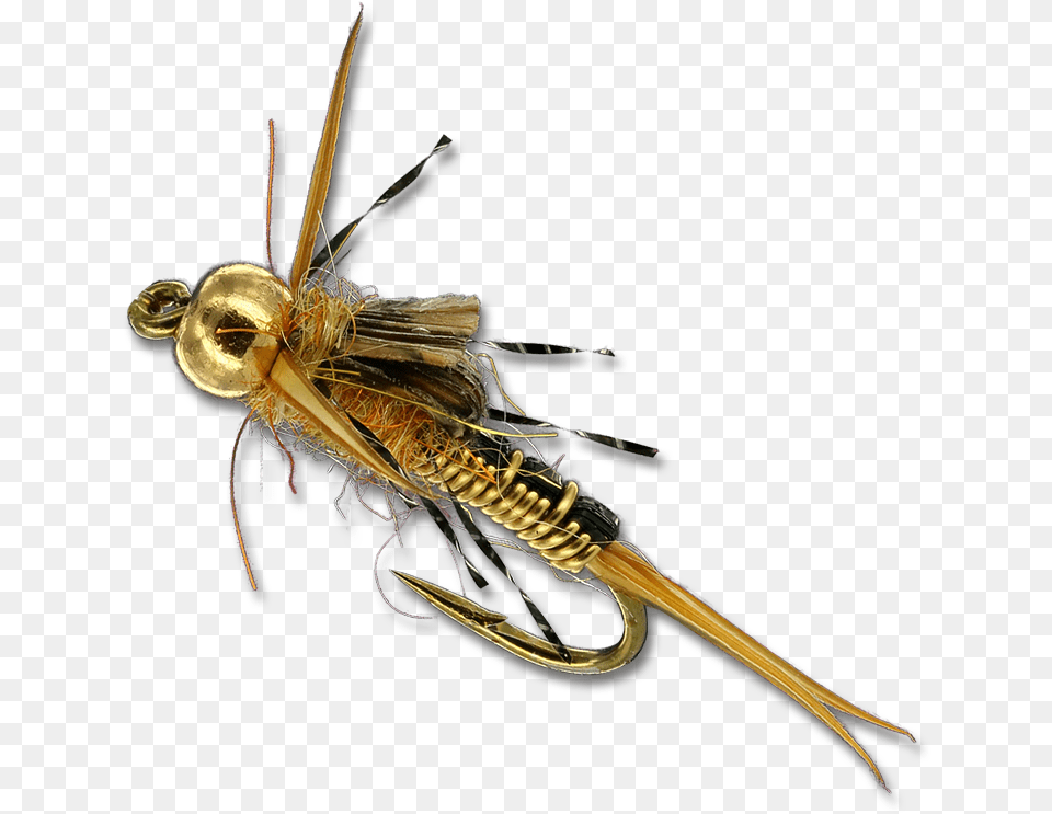 Morrish Iron Sally Iron, Animal, Bee, Insect, Invertebrate Free Transparent Png