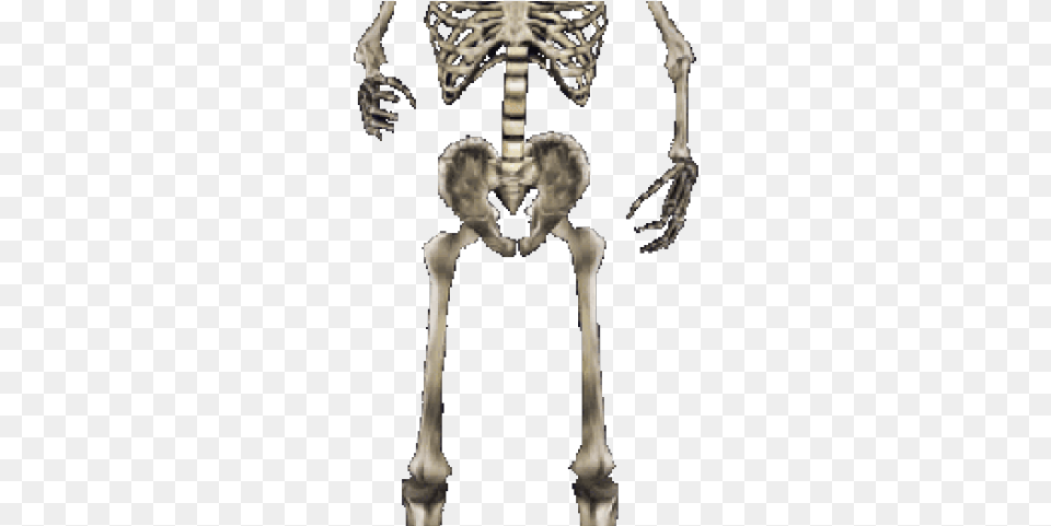Morrowind Skull, Person, Skeleton Png
