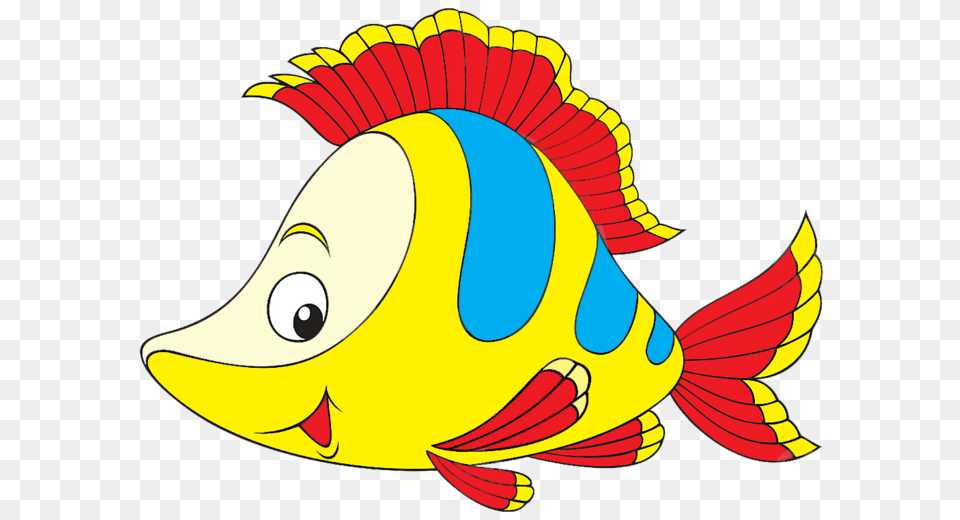 Morskaia Zapisi V Rubrike Morskaia Dnevnik, Animal, Sea Life, Fish, Angelfish Png