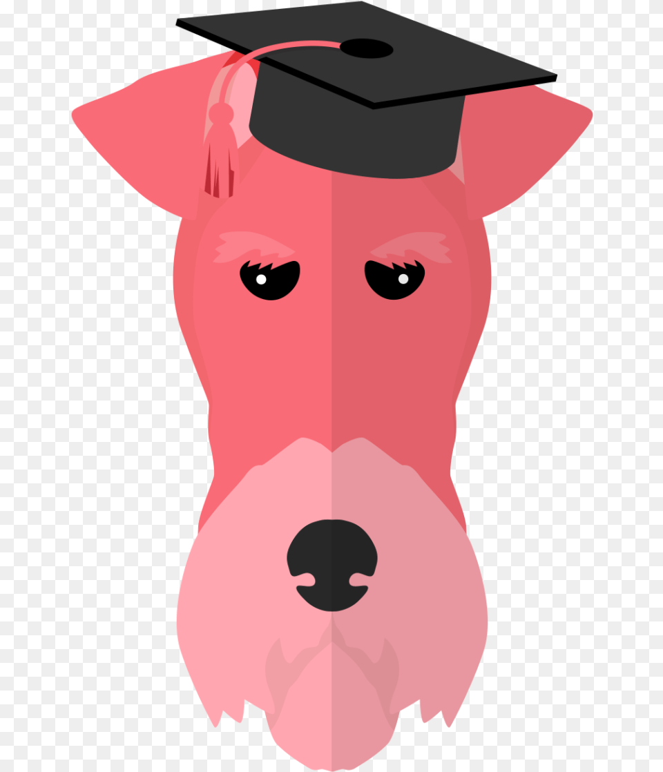 Mortarboard, People, Person, Snout, Baby Free Png