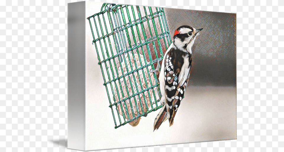Mosaic Downy Woodpecker Downy Woodpecker, Animal, Bird Free Png