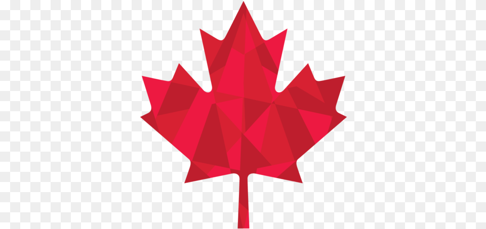 Mosaic Leaf Canada Flag, Plant, Maple Leaf, Person, Tree Free Png Download