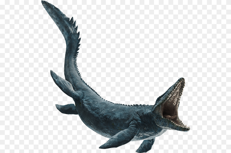 Mosasaurus Jurassic World Fallen Kingdom Mosasaurus, Animal, Fish, Sea Life, Shark Free Transparent Png