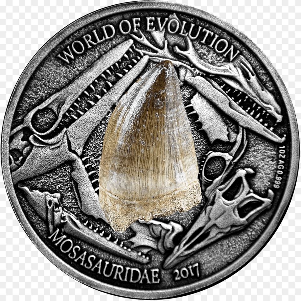 Mosasaurus World Of Evolution 1 Oz Silver Coin 1000 Monete Burkina Faso, Money, Animal, Insect, Invertebrate Png