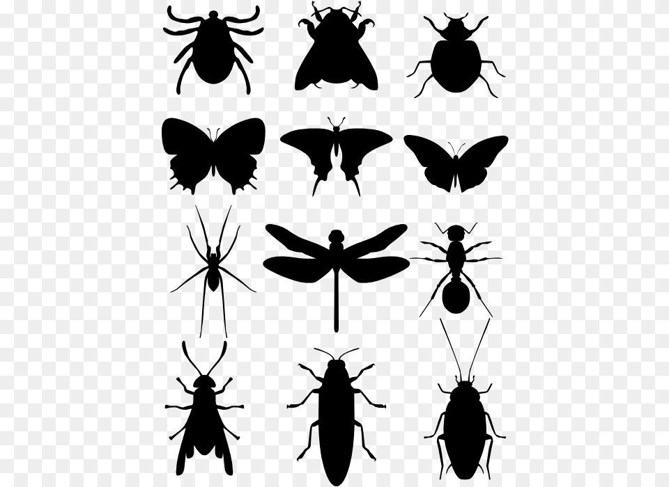 Moscas Mosquitos E Baratas Silhouette Insecten, Gray Free Transparent Png
