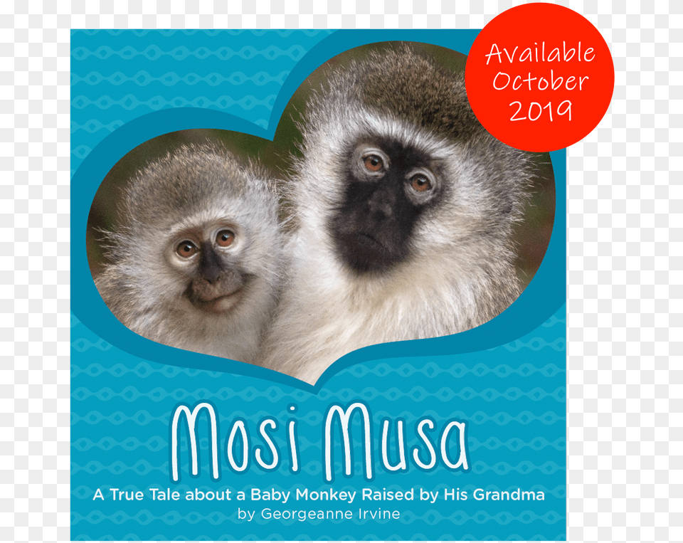 Mosi Musa A True Tale About A Baby Monkey Raised By, Animal, Mammal, Wildlife, Baboon Free Png Download