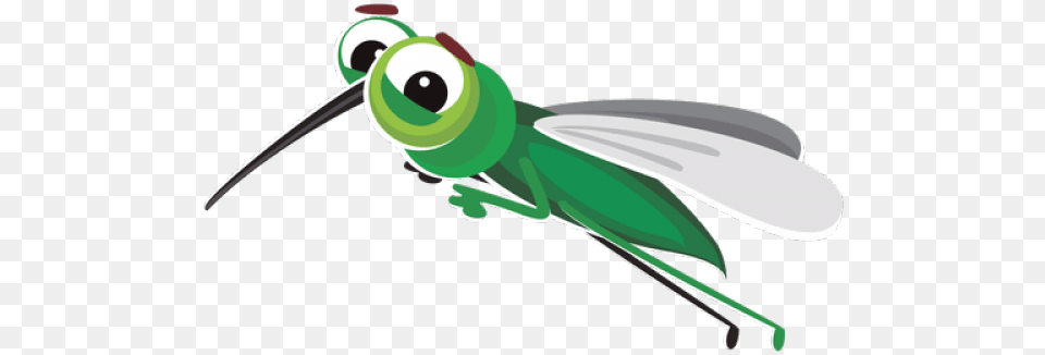Mosquito, Animal, Grasshopper, Insect, Invertebrate Png