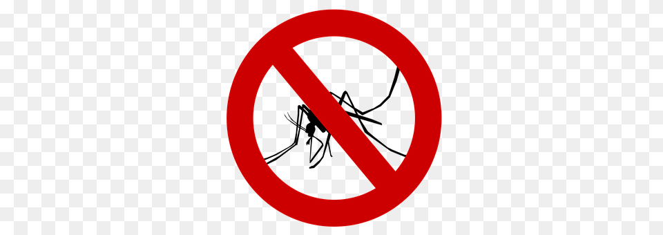 Mosquito Sign, Symbol, Road Sign, Disk Png