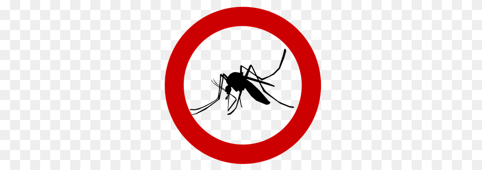 Mosquito Symbol, Sign, Disk Png