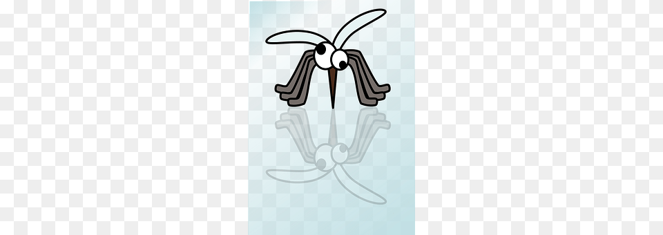 Mosquito Animal, Bee, Insect, Invertebrate Free Png Download