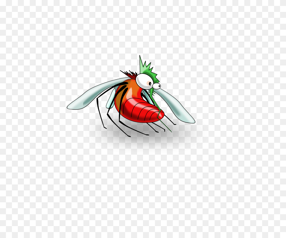 Mosquito Free Transparent Png