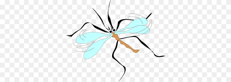 Mosquito Animal, Dragonfly, Insect, Invertebrate Png Image