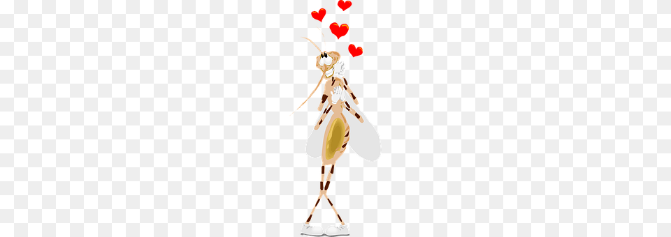 Mosquito Animal, Adult, Wedding, Person Png