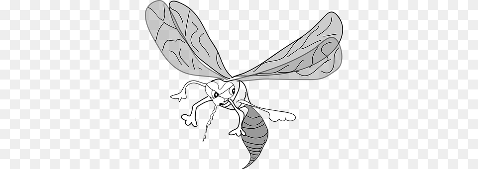 Mosquito Animal, Bee, Insect, Invertebrate Free Transparent Png