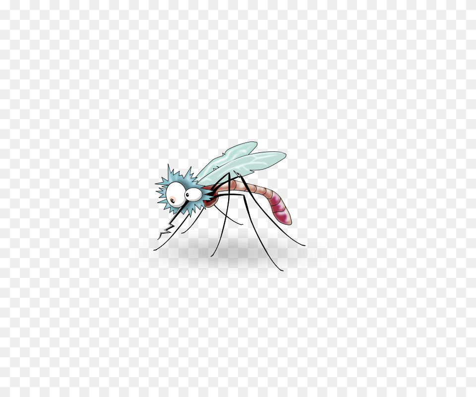 Mosquito, Animal, Bee, Insect, Invertebrate Free Transparent Png