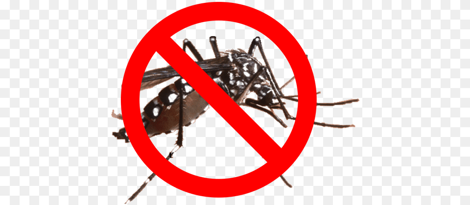 Mosquito Barrier Spray Dengue Mosquito In Nepal, Animal, Machine, Wheel, Insect Png