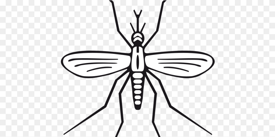 Mosquito Black And White Clipart, Animal, Insect, Invertebrate, Appliance Free Png