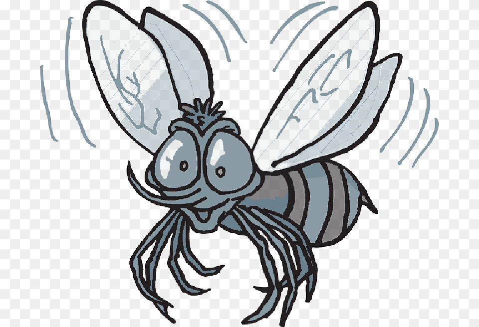 Mosquito Cartoon Bee Flying Insect Buzzing Fly Cartoon Mexican Fruit Fly, Animal, Invertebrate, Wasp, Honey Bee Free Transparent Png