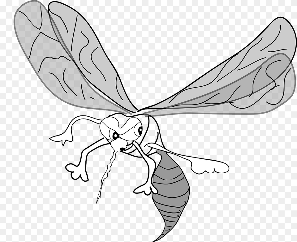 Mosquito Clip Art, Animal, Bee, Insect, Invertebrate Png