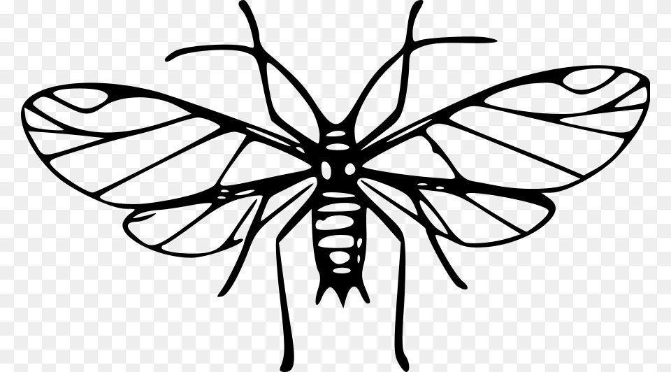 Mosquito Clip Art Images, Gray Png