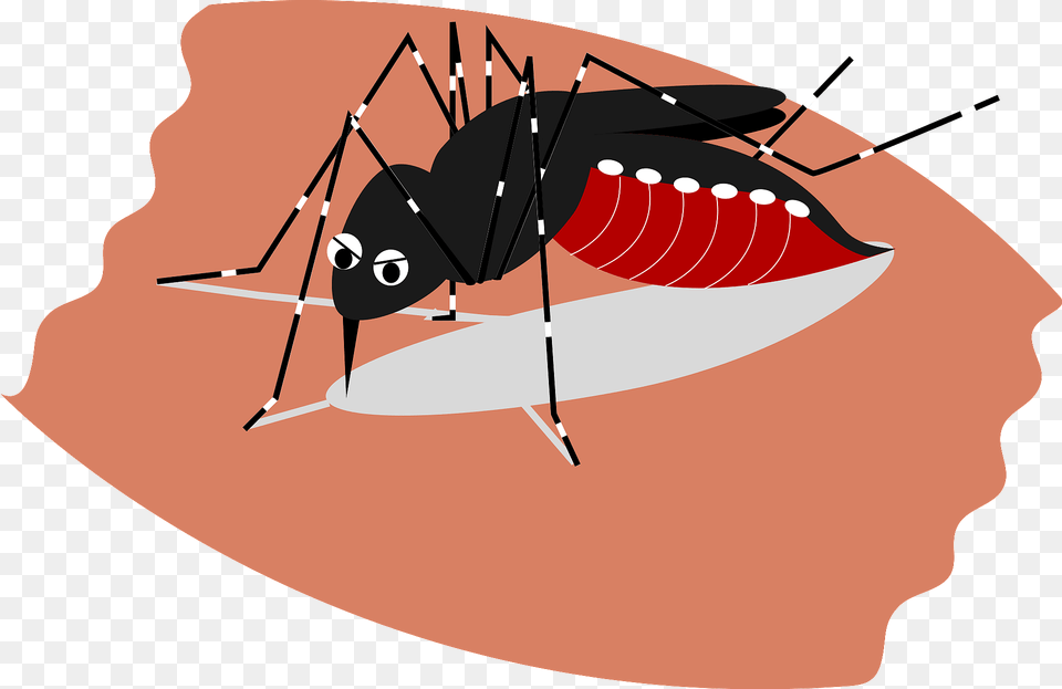 Mosquito Clipart, Animal, Insect, Invertebrate, Bow Free Png
