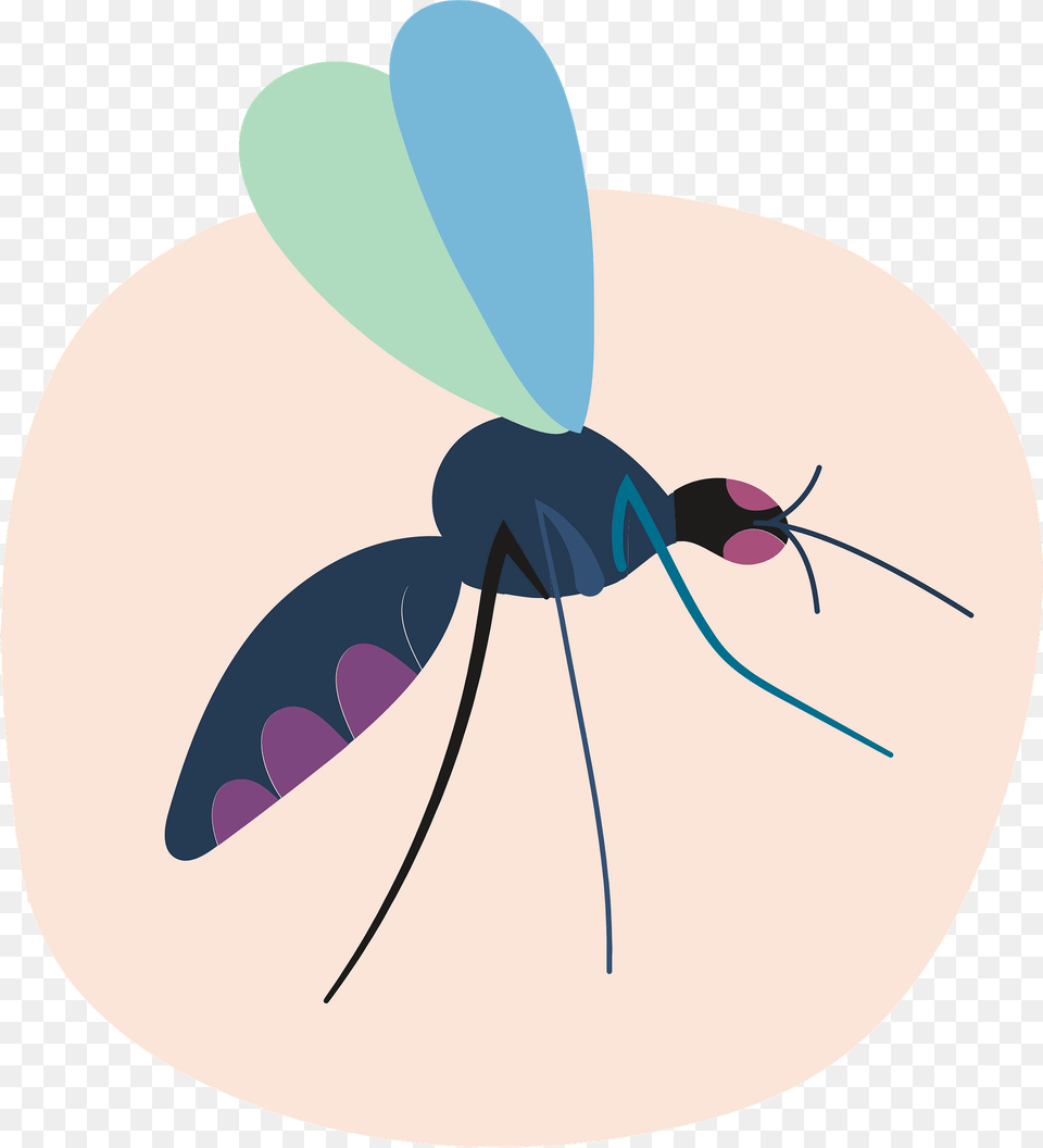 Mosquito Clipart, Animal, Insect, Invertebrate Free Png