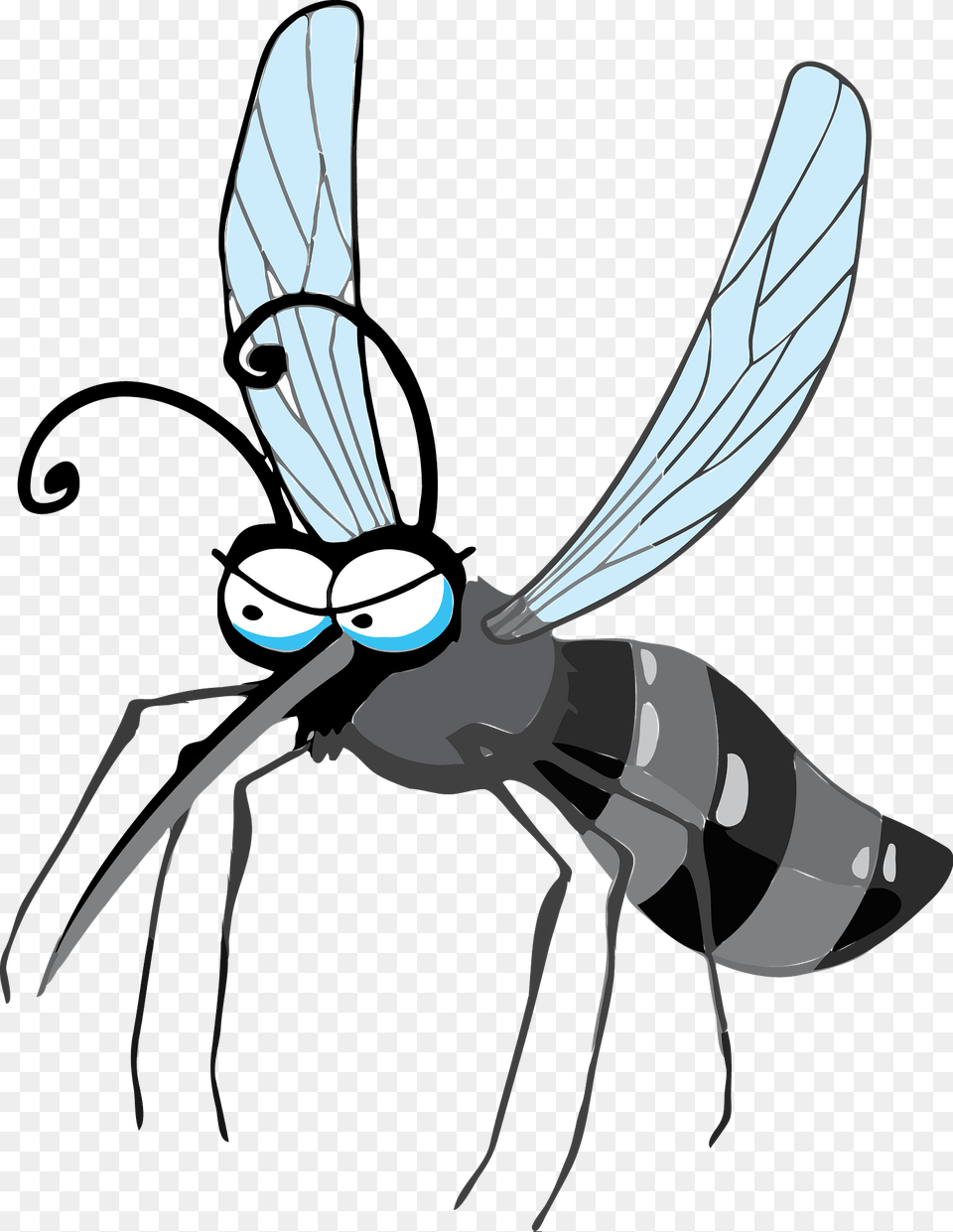 Mosquito Clipart, Animal, Bee, Insect, Invertebrate Free Png Download
