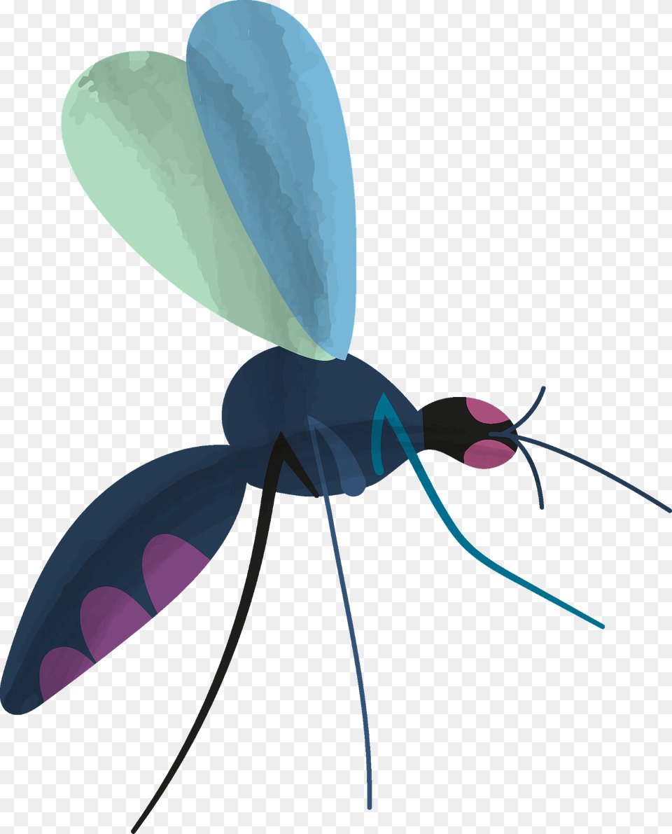 Mosquito Clipart, Animal, Bee, Insect, Invertebrate Free Transparent Png