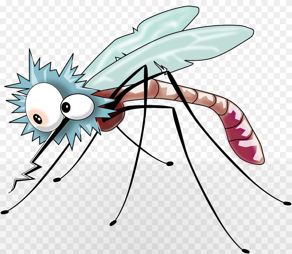 Mosquito Clipart, Animal, Insect, Invertebrate Free Transparent Png