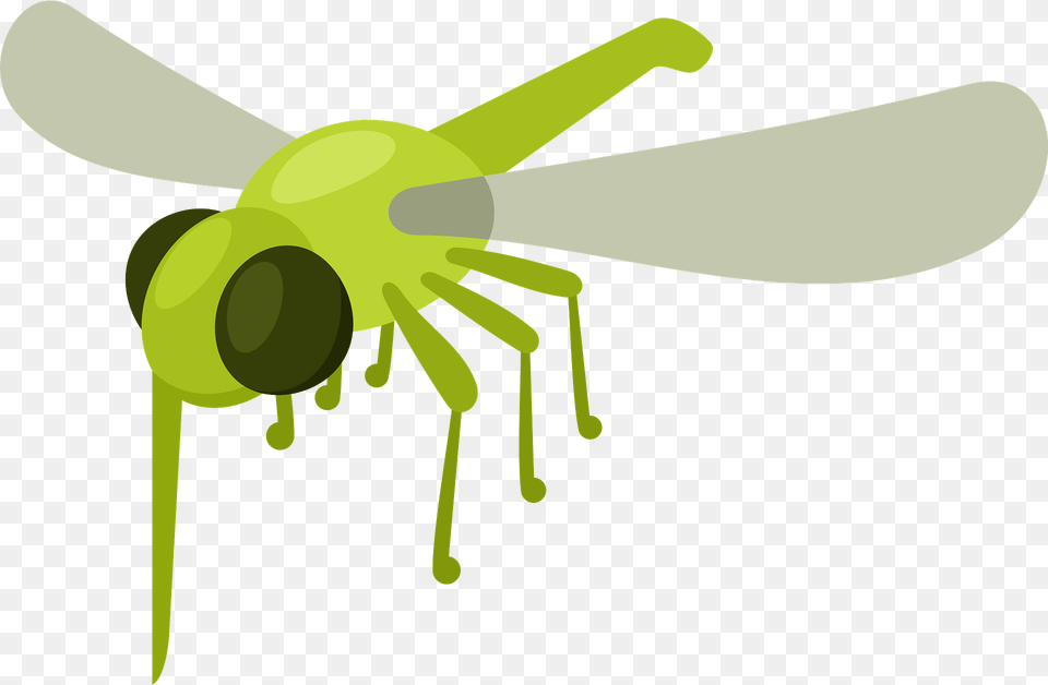 Mosquito Clipart, Animal, Dragonfly, Insect, Invertebrate Free Png