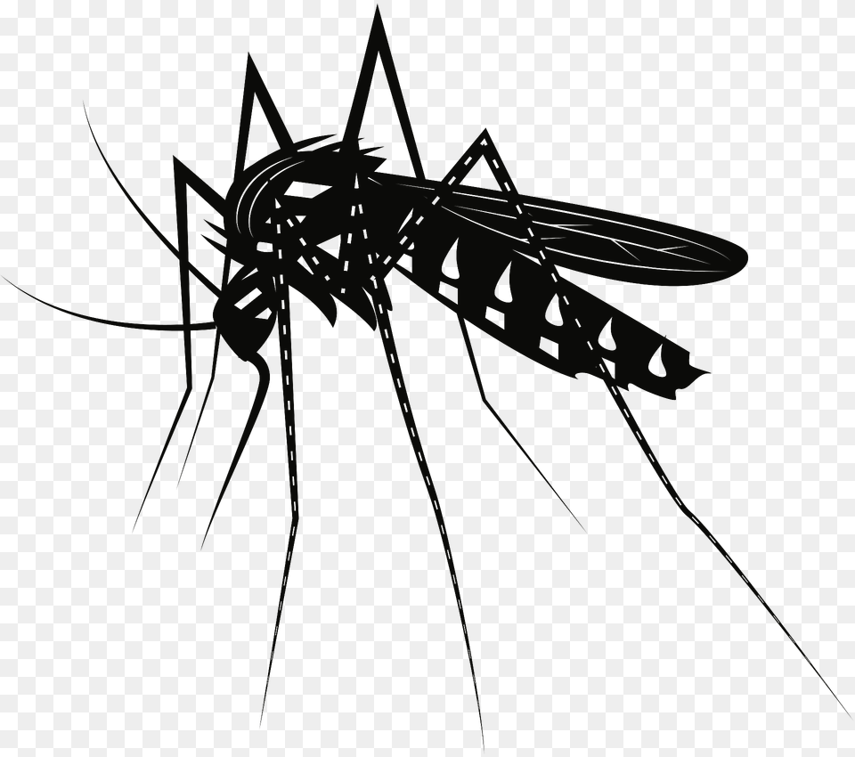 Mosquito Clipart, Animal, Insect, Invertebrate, Bow Free Transparent Png
