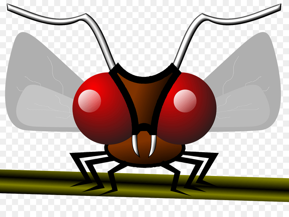 Mosquito Clipart, Animal, Bee, Insect, Invertebrate Free Transparent Png