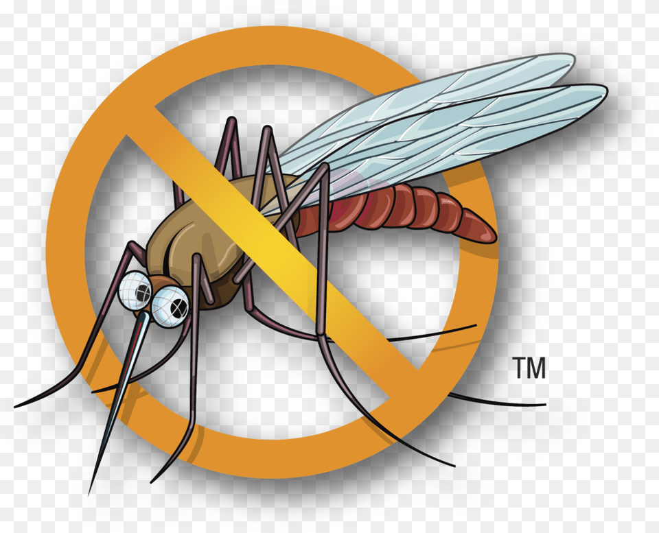 Mosquito Clipart Malaria Mosquito Dengue Mosquito Clipart, Animal, Insect, Invertebrate Free Transparent Png
