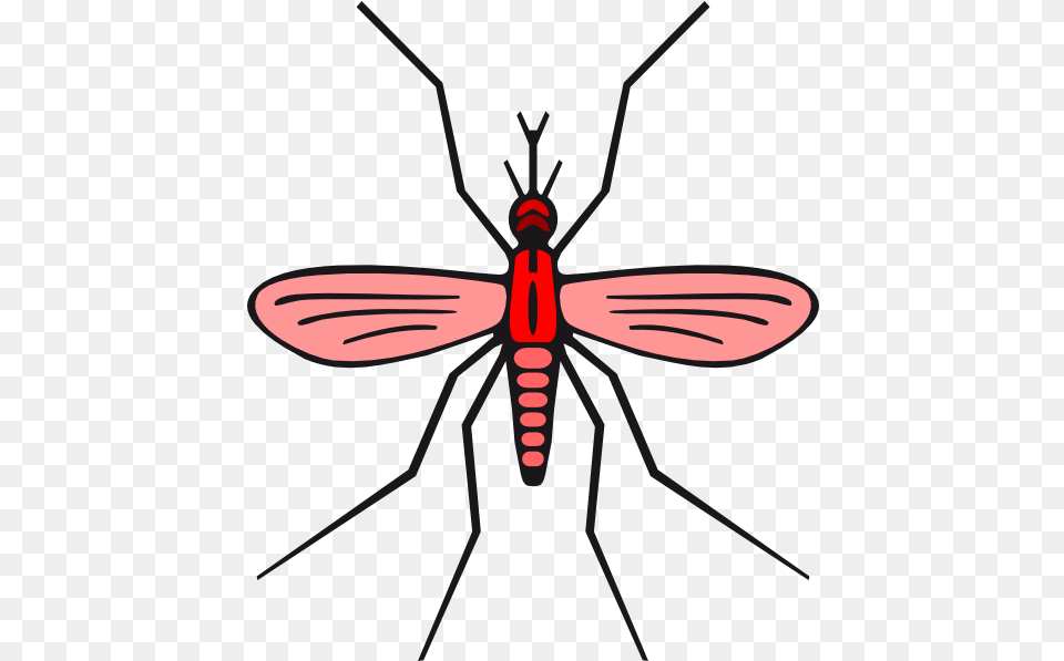 Mosquito Clipart Mosquito Red, Animal, Insect, Invertebrate Png Image