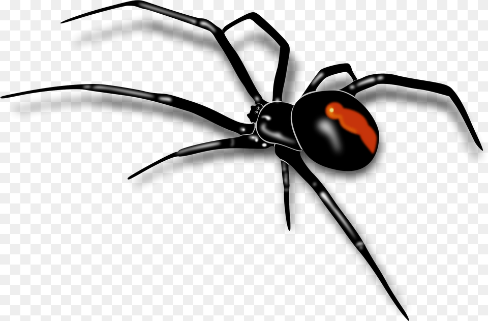 Mosquito Clipart Realistic Spider Background, Animal, Invertebrate, Black Widow, Insect Free Transparent Png
