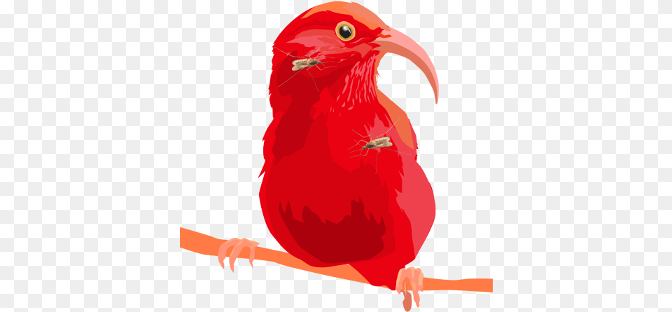 Mosquito Covered I39iwi Vector Art Digital Collage Scarlet Tanager, Animal, Beak, Bird Free Png