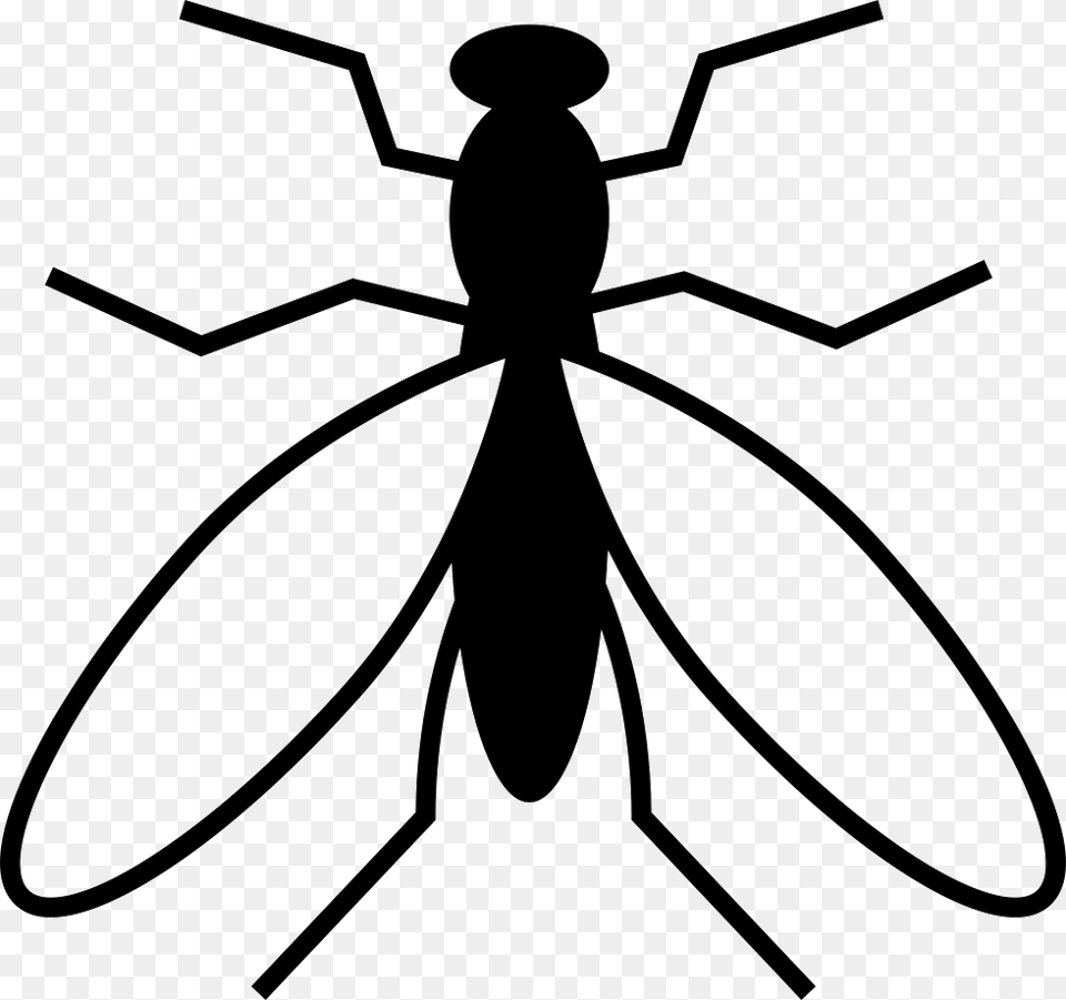 Mosquito From Top View Mosquito Vector Art, Animal Free Png