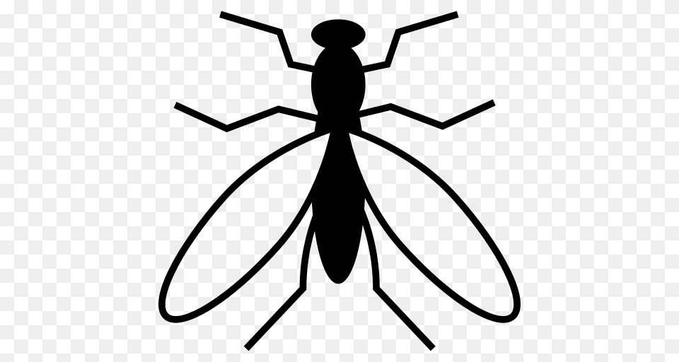 Mosquito Icon, Gray Png