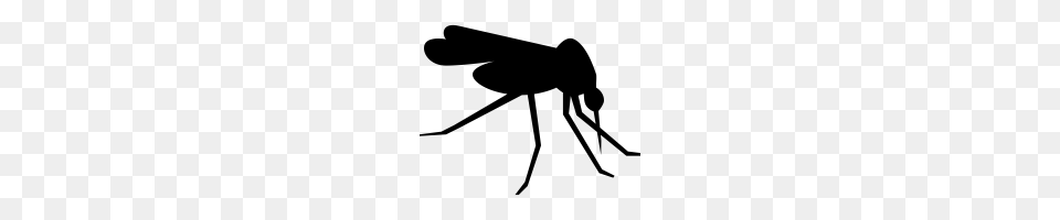 Mosquito Images Gray Free Png Download