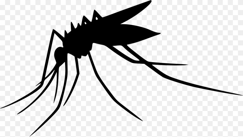 Mosquito Images Transparent Animal, Insect, Invertebrate, Fish Free Png Download