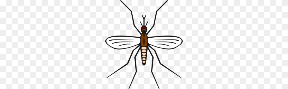 Mosquito In Brown Color Clip Art, Animal, Insect, Invertebrate Png Image