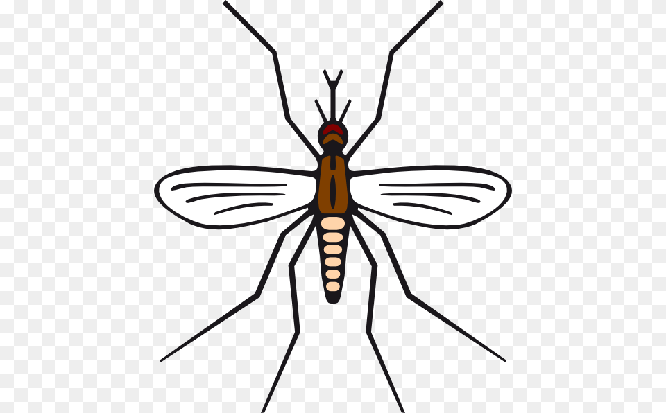 Mosquito In Brown Color Clip Art, Animal, Insect, Invertebrate Free Png Download