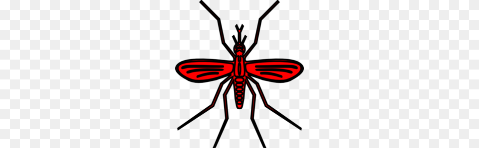 Mosquito In Red Color Clip Art, Animal, Bee, Insect, Invertebrate Png