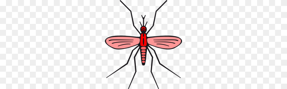 Mosquito In Red Color Version Clip Art, Animal, Insect, Invertebrate Free Png